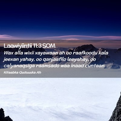 Picture 02 - Laawiyiintii 11:3 SOM - Wax alla wixii xayawaan ah oo raafkoodu kala - Bible Verse Picture