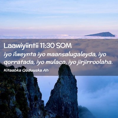 Picture 02 - Laawiyiintii 11:30 SOM - iyo ilweynta iyo maansalugaleyda, iyo qorratada, - Bible Verse Picture