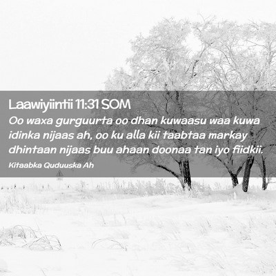 Picture 02 - Laawiyiintii 11:31 SOM - Oo waxa gurguurta oo dhan kuwaasu waa kuwa idinka - Bible Verse Picture