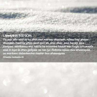 Picture 02 - Laawiyiintii 11:32 SOM - Oo wax alla wixii ay ku dhacaan markay dhintaan, - Bible Verse Picture