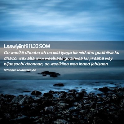 Picture 02 - Laawiyiintii 11:33 SOM - Oo weelkii dhoobo ah oo mid iyaga ka mid ahu - Bible Verse Picture