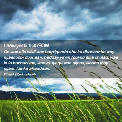 Picture 02 - Laawiyiintii 11:35 SOM - Oo wax alla wixii wax baqtigooda ahu ku dhacaanba - Bible Verse Picture