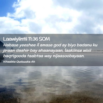 Picture 02 - Laawiyiintii 11:36 SOM - Habase yeeshee il amase god ay biyo badanu ku - Bible Verse Picture