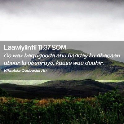 Picture 02 - Laawiyiintii 11:37 SOM - Oo wax baqtigooda ahu hadday ku dhacaan abuur la - Bible Verse Picture