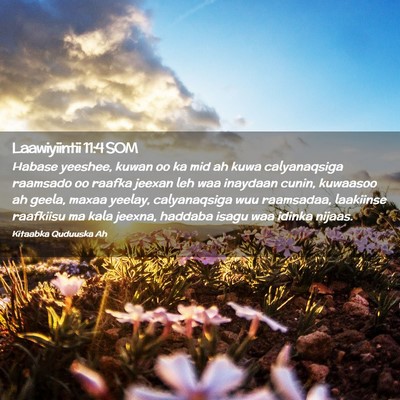 Picture 02 - Laawiyiintii 11:4 SOM - Habase yeeshee, kuwan oo ka mid ah kuwa - Bible Verse Picture
