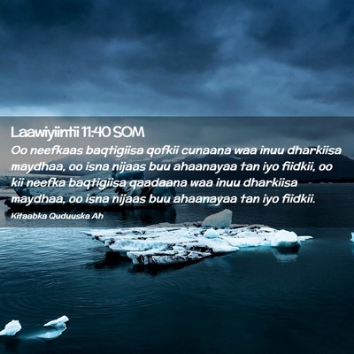 Picture 02 - Laawiyiintii 11:40 SOM - Oo neefkaas baqtigiisa qofkii cunaana waa inuu - Bible Verse Picture