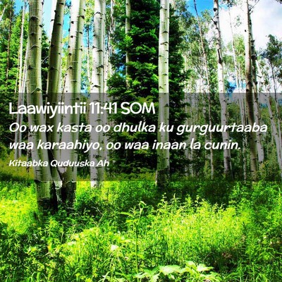 Picture 02 - Laawiyiintii 11:41 SOM - Oo wax kasta oo dhulka ku gurguurtaaba waa - Bible Verse Picture