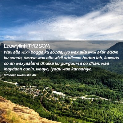 Picture 02 - Laawiyiintii 11:42 SOM - Wax alla wixii bogga ku socda, iyo wax alla wixii - Bible Verse Picture