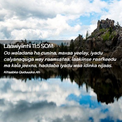 Picture 02 - Laawiyiintii 11:5 SOM - Oo waladana ha cunina, maxaa yeelay, iyadu - Bible Verse Picture