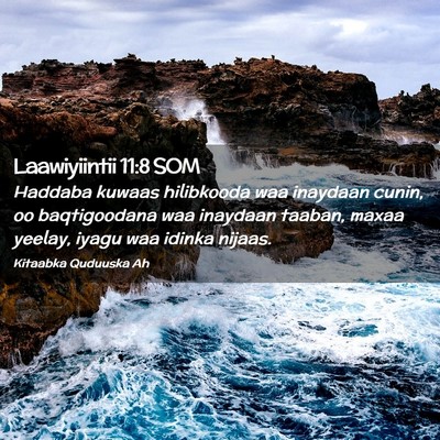 Picture 02 - Laawiyiintii 11:8 SOM - Haddaba kuwaas hilibkooda waa inaydaan cunin, oo - Bible Verse Picture