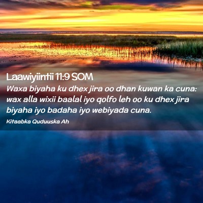 Picture 02 - Laawiyiintii 11:9 SOM - Waxa biyaha ku dhex jira oo dhan kuwan ka cuna: - Bible Verse Picture