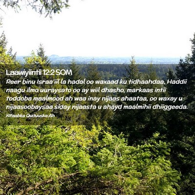 Picture 02 - Laawiyiintii 12:2 SOM - Reer binu Israa'iil la hadal oo waxaad ku - Bible Verse Picture