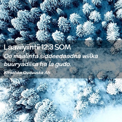 Picture 02 - Laawiyiintii 12:3 SOM - Oo maalinta siddeedaadna wiilka buuryadiisa ha la - Bible Verse Picture