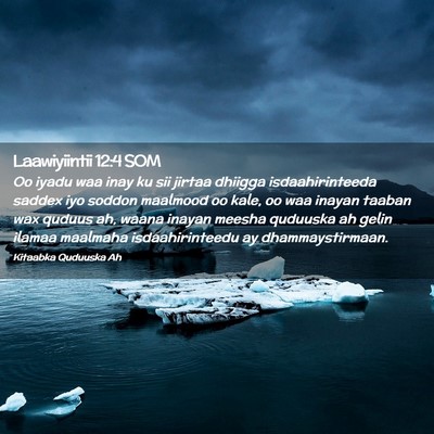 Picture 02 - Laawiyiintii 12:4 SOM - Oo iyadu waa inay ku sii jirtaa dhiigga - Bible Verse Picture