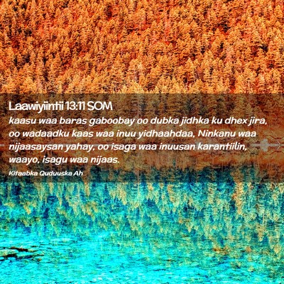 Picture 02 - Laawiyiintii 13:11 SOM - kaasu waa baras gaboobay oo dubka jidhka ku dhex - Bible Verse Picture