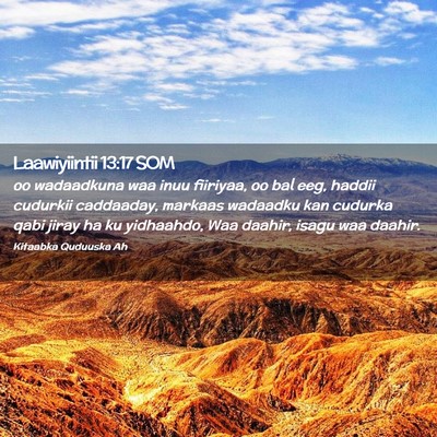 Picture 02 - Laawiyiintii 13:17 SOM - oo wadaadkuna waa inuu fiiriyaa, oo bal eeg, - Bible Verse Picture