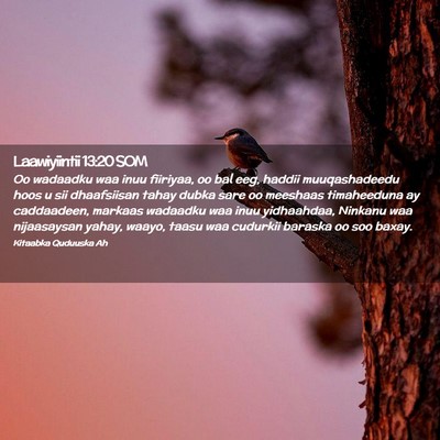 Picture 02 - Laawiyiintii 13:20 SOM - Oo wadaadku waa inuu fiiriyaa, oo bal eeg, haddii - Bible Verse Picture