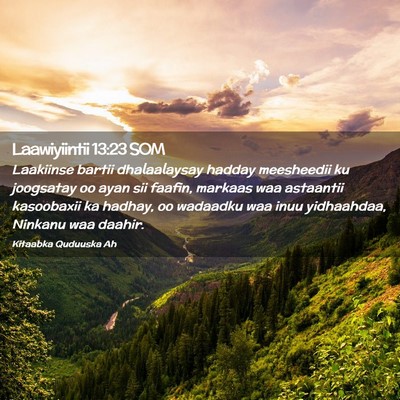 Picture 02 - Laawiyiintii 13:23 SOM - Laakiinse bartii dhalaalaysay hadday meesheedii - Bible Verse Picture