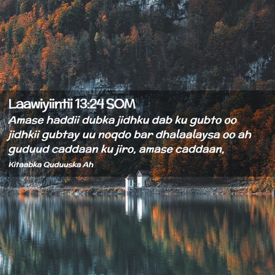 Picture 02 - Laawiyiintii 13:24 SOM - Amase haddii dubka jidhku dab ku gubto oo jidhkii - Bible Verse Picture