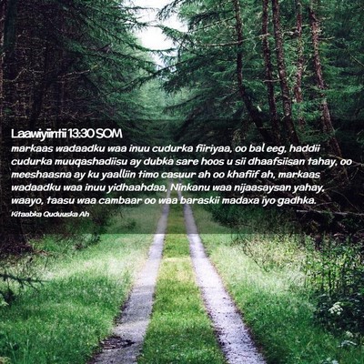 Picture 02 - Laawiyiintii 13:30 SOM - markaas wadaadku waa inuu cudurka fiiriyaa, oo - Bible Verse Picture