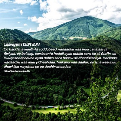 Picture 02 - Laawiyiintii 13:34 SOM - Oo haddana maalinta toddobaad wadaadku waa inuu - Bible Verse Picture