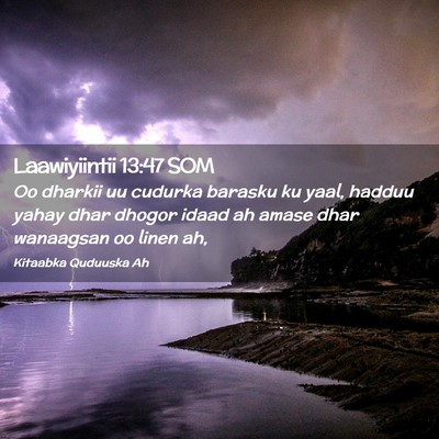 Picture 02 - Laawiyiintii 13:47 SOM - Oo dharkii uu cudurka barasku ku yaal, hadduu - Bible Verse Picture