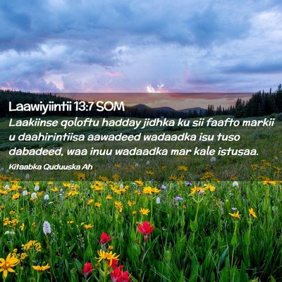 Picture 02 - Laawiyiintii 13:7 SOM - Laakiinse qoloftu hadday jidhka ku sii faafto - Bible Verse Picture