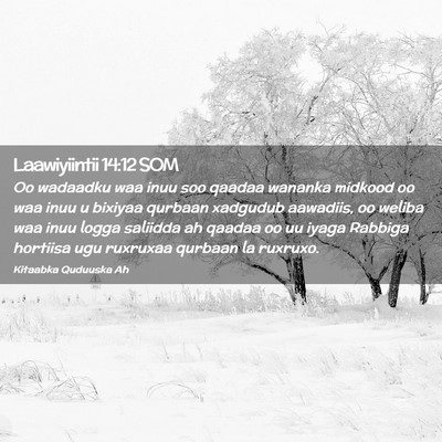 Picture 02 - Laawiyiintii 14:12 SOM - Oo wadaadku waa inuu soo qaadaa wananka midkood - Bible Verse Picture