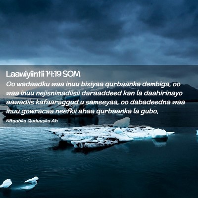 Picture 02 - Laawiyiintii 14:19 SOM - Oo wadaadku waa inuu bixiyaa qurbaanka dembiga, - Bible Verse Picture