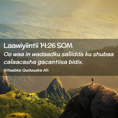 Picture 02 - Laawiyiintii 14:26 SOM - Oo waa in wadaadku saliidda ku shubaa calaacasha - Bible Verse Picture