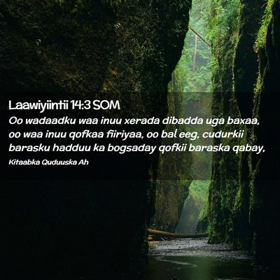 Picture 02 - Laawiyiintii 14:3 SOM - Oo wadaadku waa inuu xerada dibadda uga baxaa, oo - Bible Verse Picture
