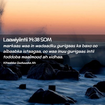 Picture 02 - Laawiyiintii 14:38 SOM - markaas waa in wadaadku gurigaas ka baxo oo - Bible Verse Picture