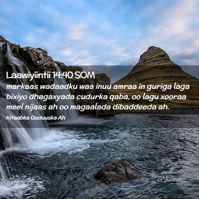 Picture 02 - Laawiyiintii 14:40 SOM - markaas wadaadku waa inuu amraa in guriga laga - Bible Verse Picture