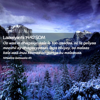 Picture 02 - Laawiyiintii 14:42 SOM - Oo waa in dhagaxyo kale la soo qaadaa, oo la - Bible Verse Picture