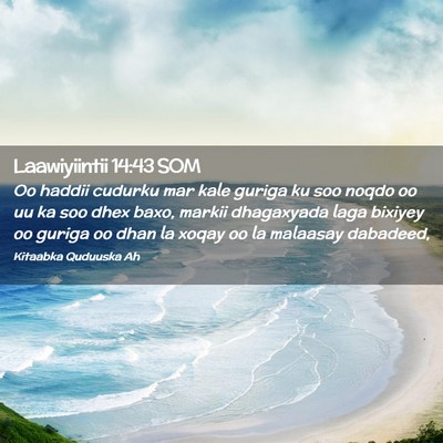 Picture 02 - Laawiyiintii 14:43 SOM - Oo haddii cudurku mar kale guriga ku soo noqdo oo - Bible Verse Picture