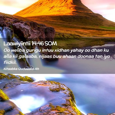 Picture 02 - Laawiyiintii 14:46 SOM - Oo weliba gurigu intuu xidhan yahay oo dhan ku - Bible Verse Picture