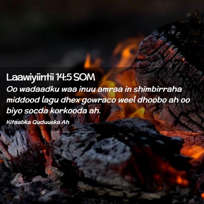 Picture 02 - Laawiyiintii 14:5 SOM - Oo wadaadku waa inuu amraa in shimbirraha middood - Bible Verse Picture