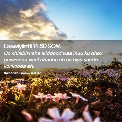 Picture 02 - Laawiyiintii 14:50 SOM - Oo shimbirraha middood waa inuu ku dhex gowracaa - Bible Verse Picture