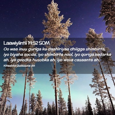Picture 02 - Laawiyiintii 14:52 SOM - Oo waa inuu guriga ku daahiriyaa dhiigga - Bible Verse Picture