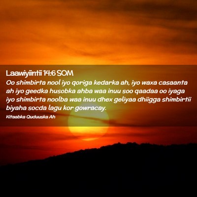 Picture 02 - Laawiyiintii 14:6 SOM - Oo shimbirta nool iyo qoriga kedarka ah, iyo waxa - Bible Verse Picture