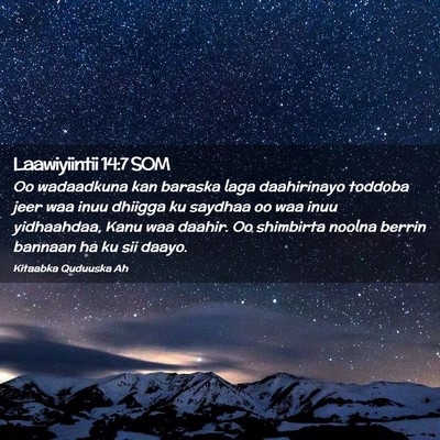 Picture 02 - Laawiyiintii 14:7 SOM - Oo wadaadkuna kan baraska laga daahirinayo - Bible Verse Picture