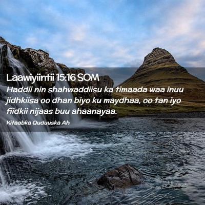 Picture 02 - Laawiyiintii 15:16 SOM - Haddii nin shahwaddiisu ka timaada waa inuu - Bible Verse Picture