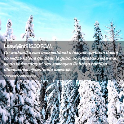 Picture 02 - Laawiyiintii 15:30 SOM - Oo wadaadku waa inuu middood u bixiyaa qurbaan - Bible Verse Picture