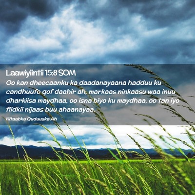 Picture 02 - Laawiyiintii 15:8 SOM - Oo kan dheecaanku ka daadanayaana hadduu ku - Bible Verse Picture