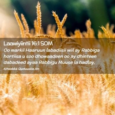 Picture 02 - Laawiyiintii 16:1 SOM - Oo markii Haaruun labadiisii wiil ay Rabbiga - Bible Verse Picture