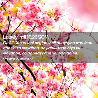 Picture 02 - Laawiyiintii 16:26 SOM - Oo kii Casaaseel orgiga u sii daayayna waa inuu - Bible Verse Picture