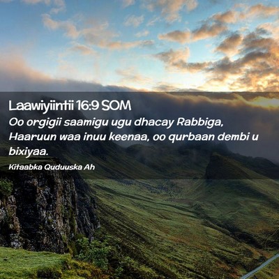 Picture 02 - Laawiyiintii 16:9 SOM - Oo orgigii saamigu ugu dhacay Rabbiga, Haaruun - Bible Verse Picture