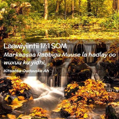 Picture 02 - Laawiyiintii 17:1 SOM - Markaasaa Rabbigu Muuse la hadlay oo wuxuu ku - Bible Verse Picture