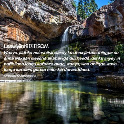 Picture 02 - Laawiyiintii 17:11 SOM - Waayo, jiidhka noloshiisii waxay ku dhex jirtaa - Bible Verse Picture