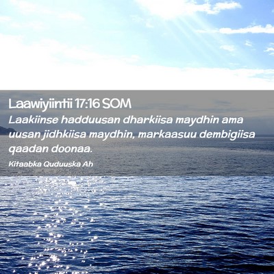 Picture 02 - Laawiyiintii 17:16 SOM - Laakiinse hadduusan dharkiisa maydhin ama uusan - Bible Verse Picture